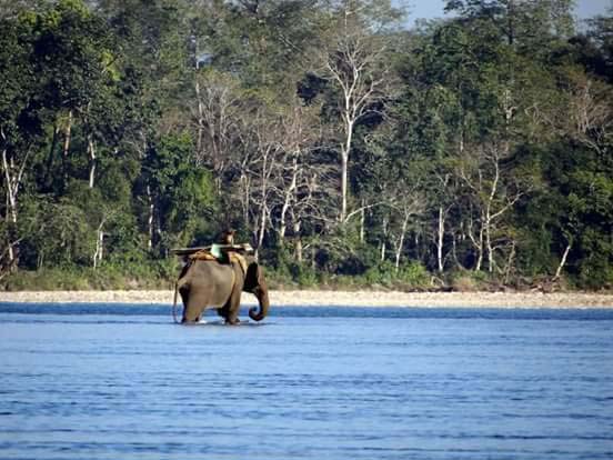 Nameri National Park